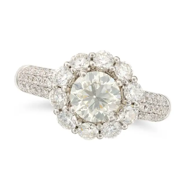 A FINE DIAMOND CLUSTER RING set with a round brilliant cut diamond of approximately 1.10 carats,