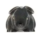 MANFRED WILD, AN OBSIDIAN AND DIAMOND RABBIT carved from a single piece of obsidian to depict a