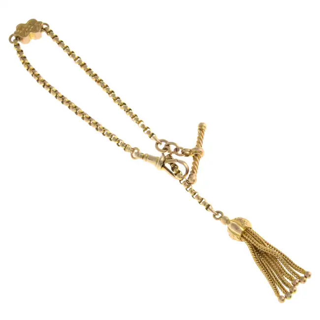 Late 19th century Albertina chain 