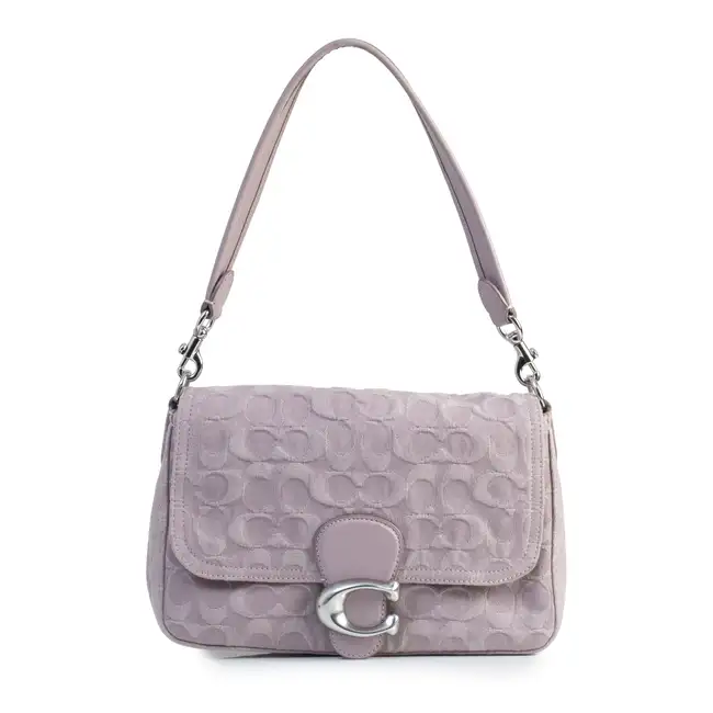 Coach - Soft Tabby