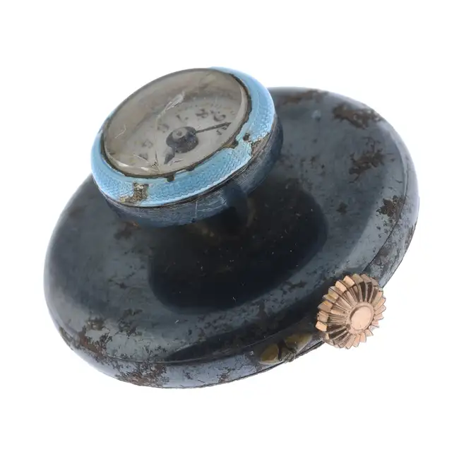 Button hole watch