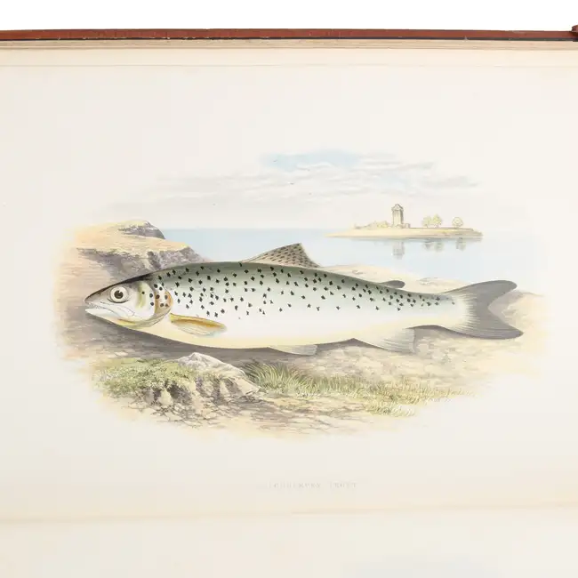 British Fresh-Water Fishes, Vols 1 & 2