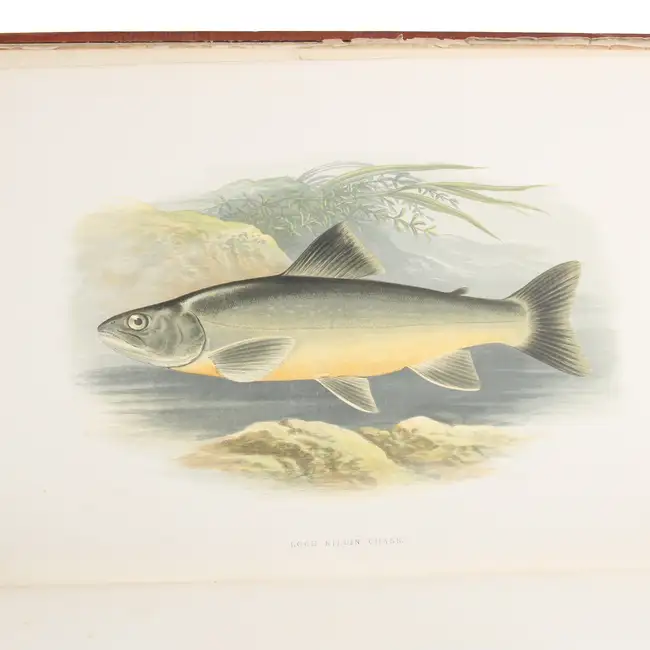 British Fresh-Water Fishes, Vols 1 & 2