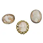 Three late 19th century shell cameo brooches