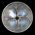 Lalique Coquille bowl