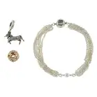 Bracelet & two charms, Pandora