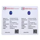 Two oval-shape sapphires, 5.01ct