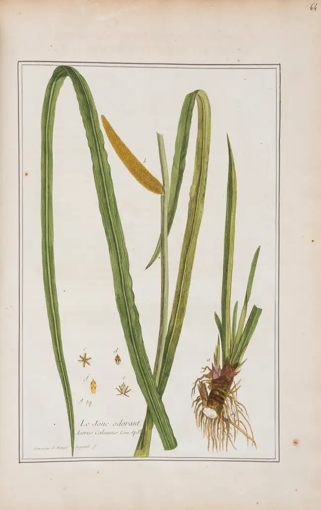 257 Botany.- Regnault (Nicolas Fran&ccedil;ois) La Botanique, 3 vol., first edition, Paris, chez l'auteur, 1774.