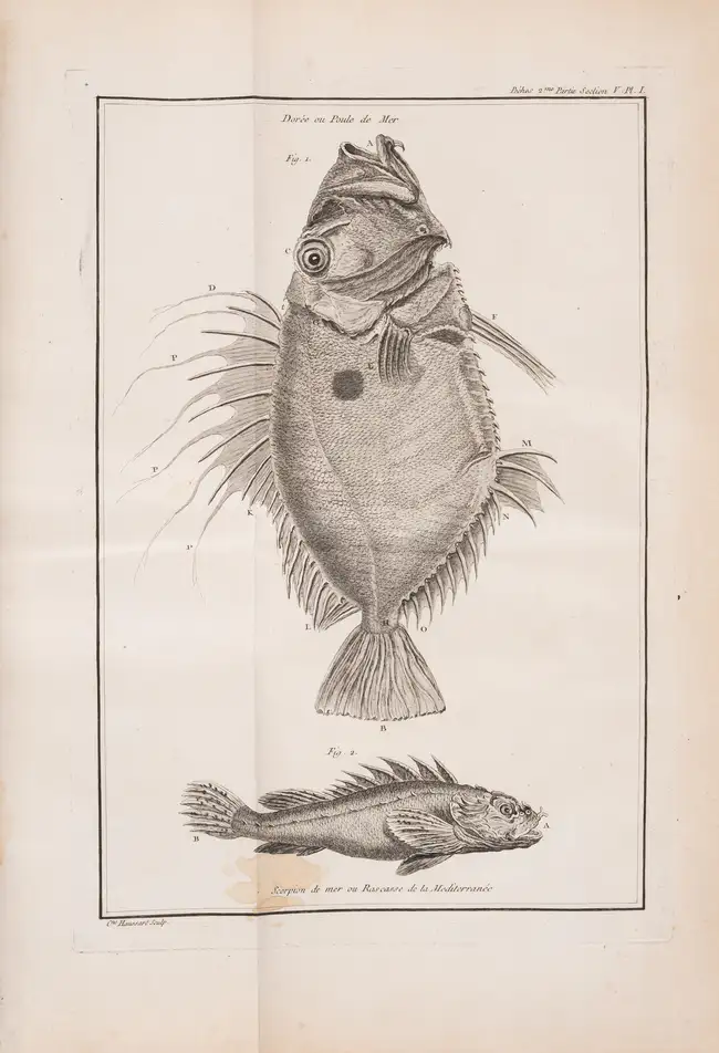 119 Fishing.- Duhamel du Monceau (Henri Louis) and L.H. de la Mare. Trait&eacute; G&eacute;n&eacute;rale des Pesches, et Histoire des Poissons, 4 vol. in ...