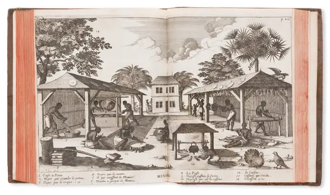 265 West Indies.- Du Tertre (Jean Baptiste) Histoire Generale des Antilles habit&eacute;es par les Fran&ccedil;ois, vol.1 &amp; 2 only (of 4), contemporar...