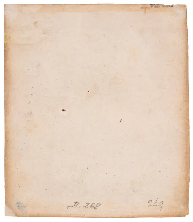 300 Rembrandt Harmensz. van Rijn (1606-1669) Young man in a velvet cap (Petrus Sylvius?)