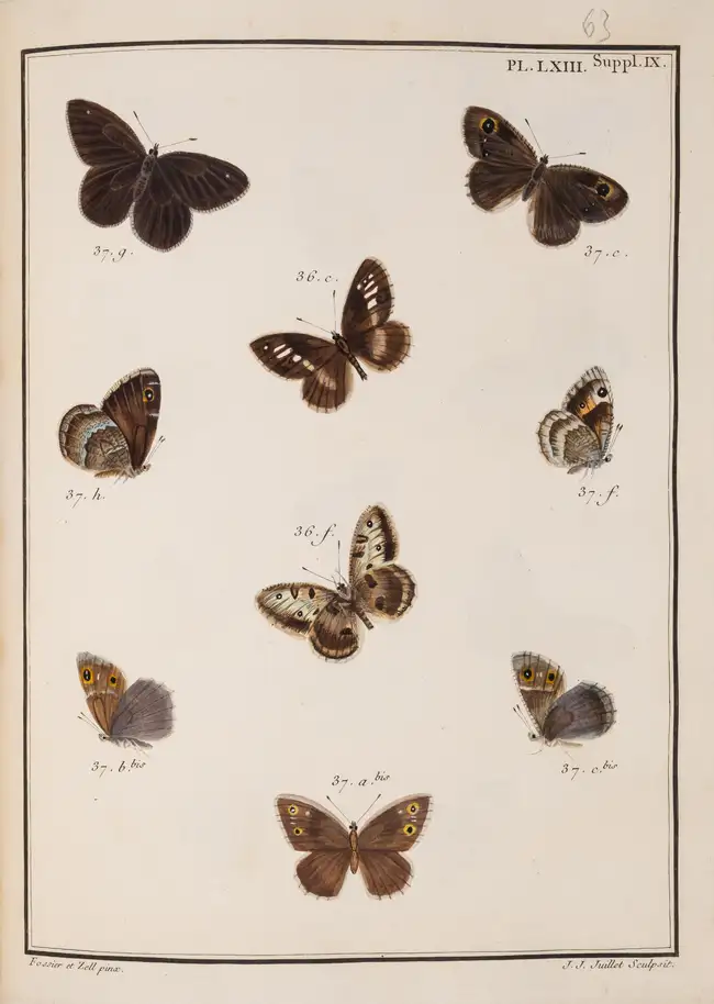 124 Butterflies.- Engramelle (M.D.J.) Papillons d'Europe, peints d'apr&egrave;s nature, 8 vol. in 4, first edition, one of 250 copies, Paris, 1779-92.