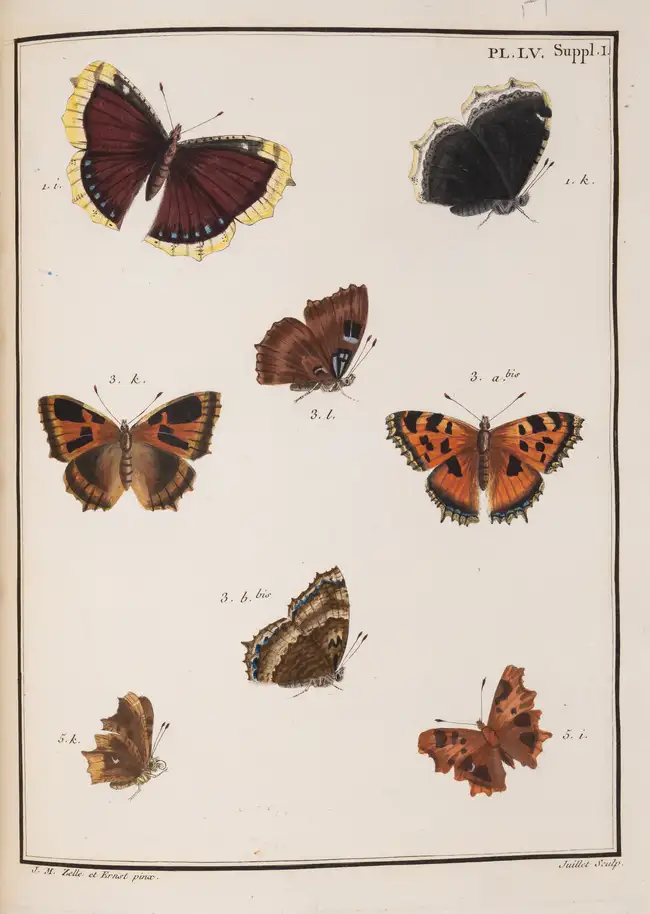 124 Butterflies.- Engramelle (M.D.J.) Papillons d'Europe, peints d'apr&egrave;s nature, 8 vol. in 4, first edition, one of 250 copies, Paris, 1779-92.