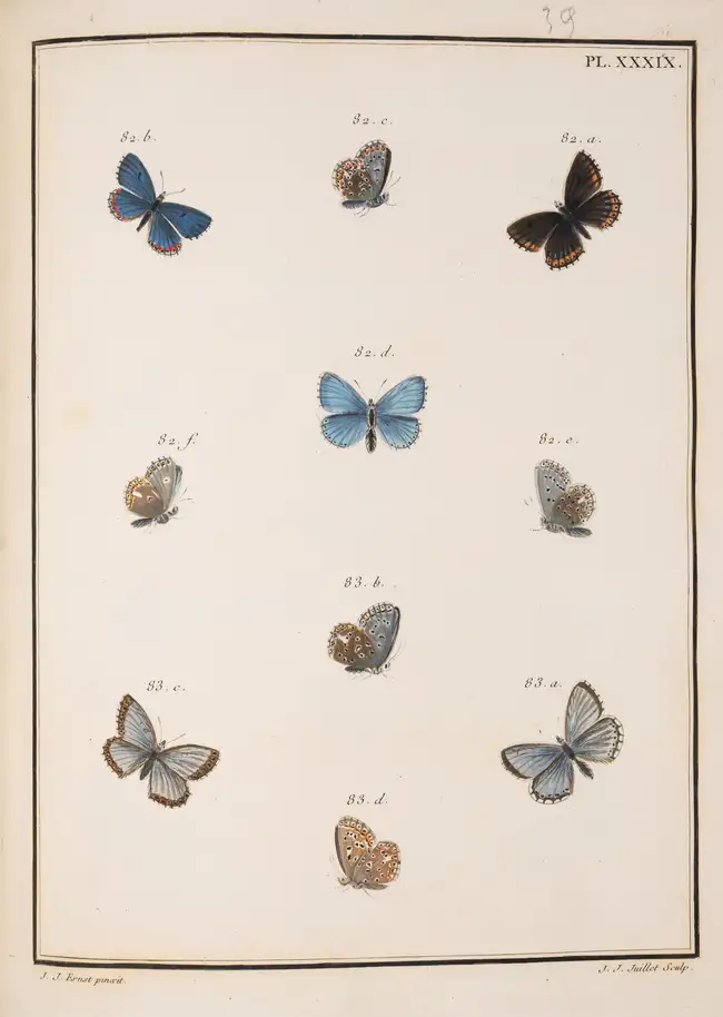 124 Butterflies.- Engramelle (M.D.J.) Papillons d'Europe, peints d'apr&egrave;s nature, 8 vol. in 4, first edition, one of 250 copies, Paris, 1779-92.