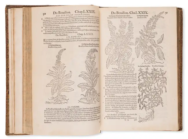 107 Herbal.- Dodoens (Rembert) Histoire des Plantes, first French edition, Antwerp, de l'Imprimerie de Jean Lo&euml;, 1557.