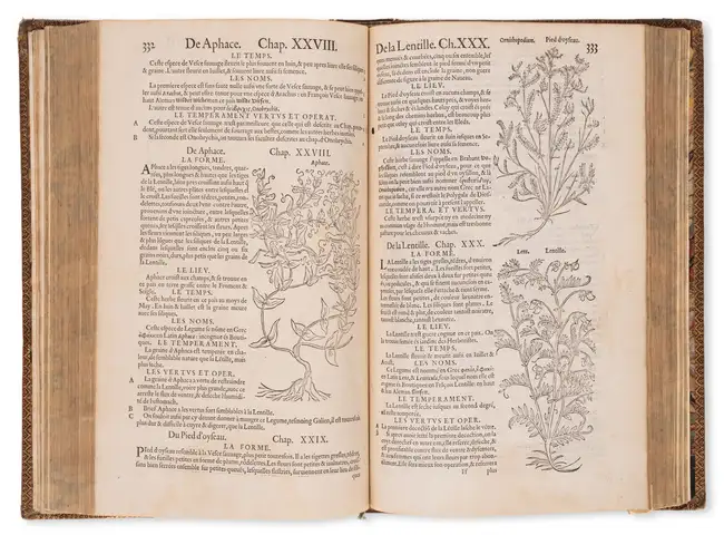 107 Herbal.- Dodoens (Rembert) Histoire des Plantes, first French edition, Antwerp, de l'Imprimerie de Jean Lo&euml;, 1557.