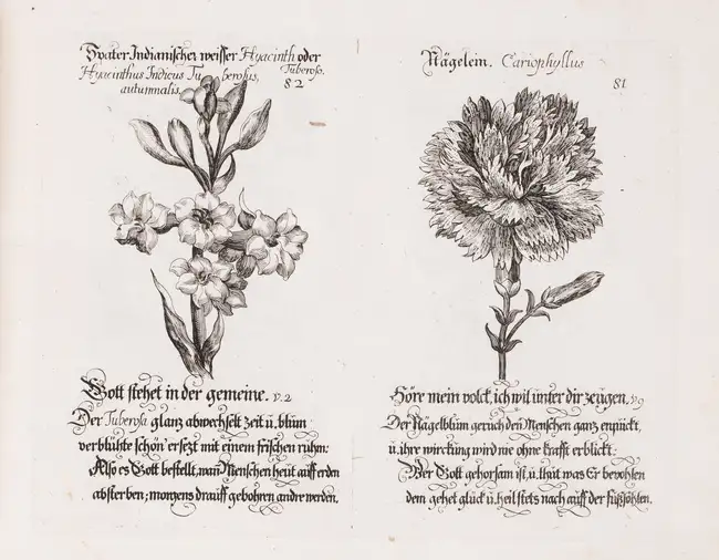 320 Botany.- Weigel (Johann Christoph, publisher.) Davidischer Lust und Blumen Garten, Nuremberg, [c.1710].