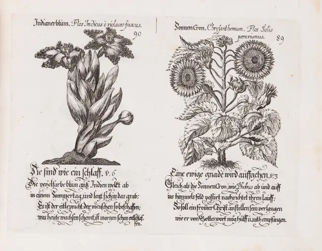 320 Botany.- Weigel (Johann Christoph, publisher.) Davidischer Lust und Blumen Garten, Nuremberg, [c.1710].