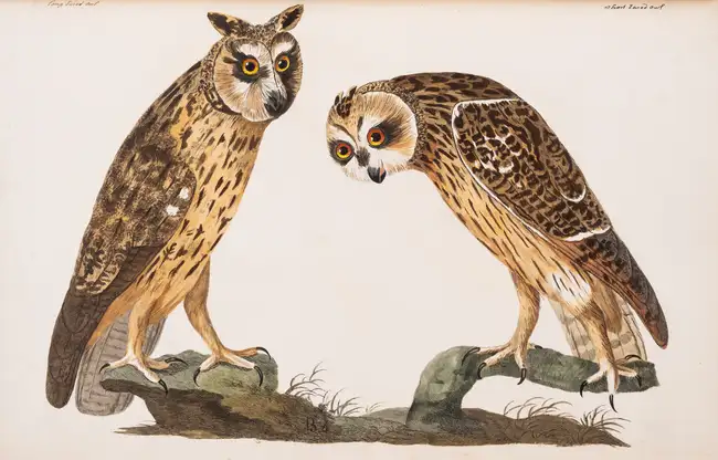 244 Zoology.- [Pennant (Thomas)] The British Zoology. Class I. Quadrupeds. II. Birds, first edition, J. and J. March, 1776.