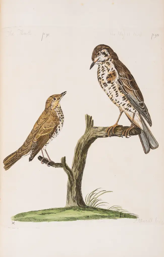 244 Zoology.- [Pennant (Thomas)] The British Zoology. Class I. Quadrupeds. II. Birds, first edition, J. and J. March, 1776.