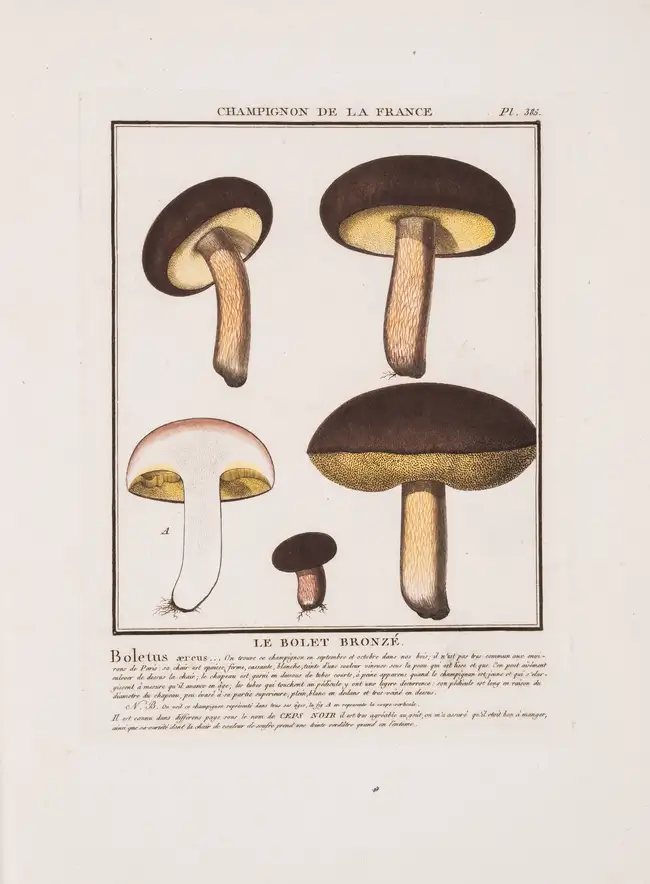 55 Herbal.- Botany.- Bulliard (Pierre) Herbier de la France, ou Collection Complette des Plantes Indig&egrave;nes de ce Royaume, 13 vol. in 15, Paris, 17...