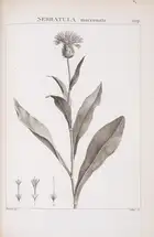 102 Botany.- Redout&eacute; (P.J. &amp; H.J.).- Desfontaines (Rene Louiche) Flora Atlantica, sive Historia Plantarum, 2 vol. bound in 4, first edition, St...