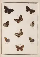 124 Butterflies.- Engramelle (M.D.J.) Papillons d'Europe, peints d'apr&egrave;s nature, 8 vol. in 4, first edition, one of 250 copies, Paris, 1779-92.