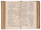 107 Herbal.- Dodoens (Rembert) Histoire des Plantes, first French edition, Antwerp, de l'Imprimerie de Jean Lo&euml;, 1557.