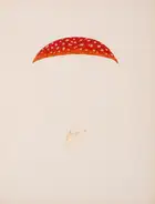 276 Fungi.- [S&eacute;journ&eacute; (A.)] [Champignons des environs de Blois], 2 vol., [Blois], c.1880.