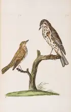 244 Zoology.- [Pennant (Thomas)] The British Zoology. Class I. Quadrupeds. II. Birds, first edition, J. and J. March, 1776.
