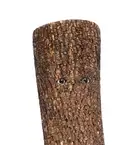 110 Tim Rollins (1955-2017) &amp; Kids of Survival
Pinocchio (After Carlo Collodi)