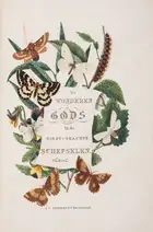 278 Butterflies.- Sepp (Jan Christiaan) Beschouwing der Wonderen Gods, in de minst geachte schepzelen. Of Nederlandsche Insecten naar hunne aanmerkelijke ...