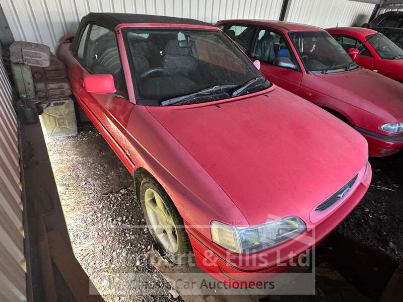 Image Placeholders2_edited.jpg