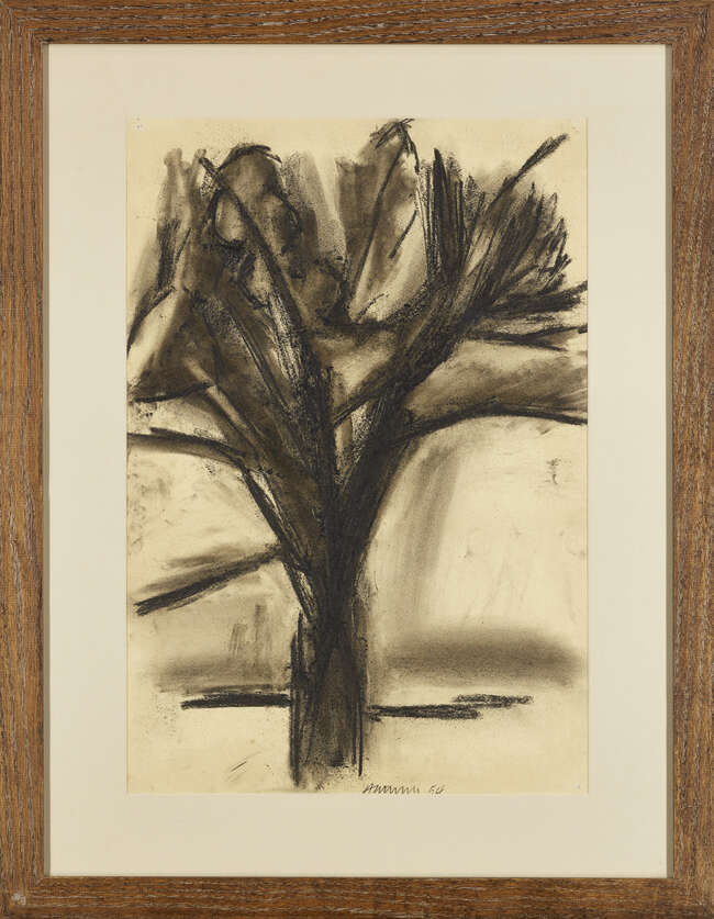
	
		Anthony Hatwell, 
		British 1931-2013 - 
		Tree, 1954; 
		charcoal on paper, signed and...