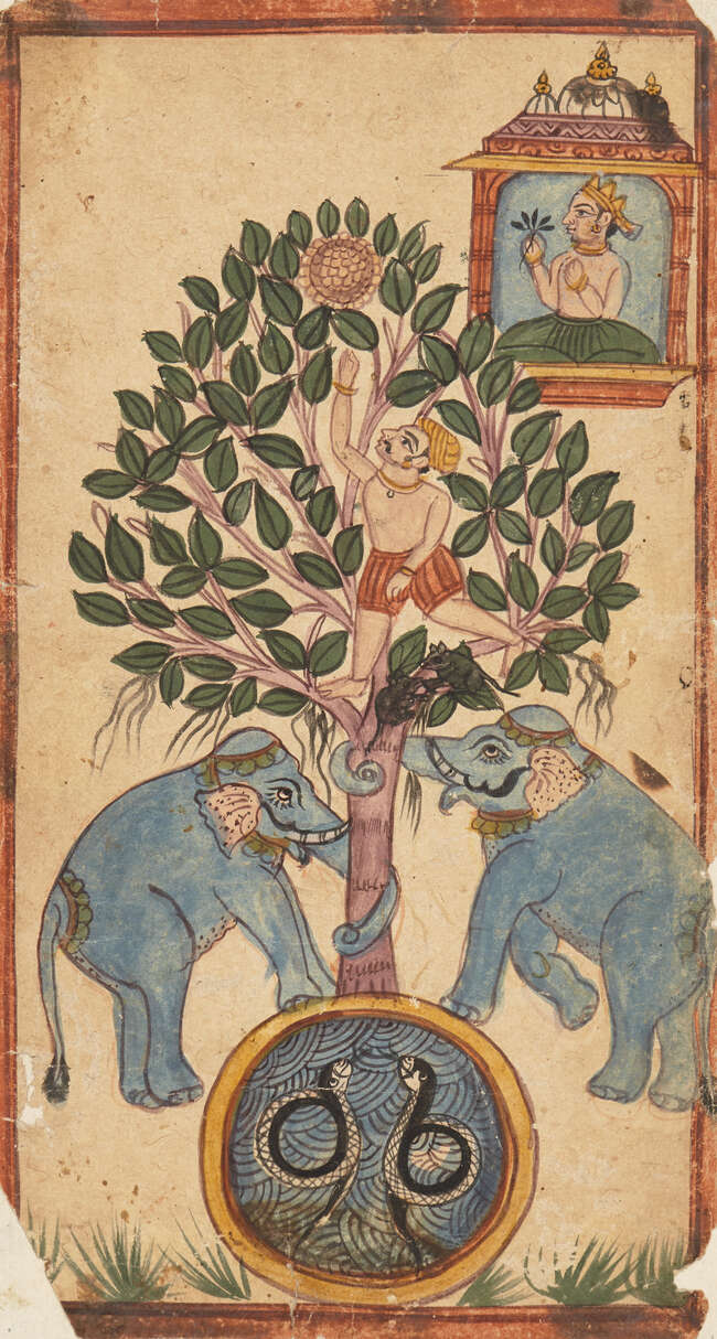
	
		Elephants shaking a man from a tree, India, 19th century, opaque pigments on paper, the...