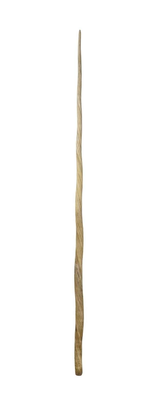 
	
		A Narwhal tusk, (Monodon monoceras), 19th century, 206cm long
		Note: The Narwhal is a...