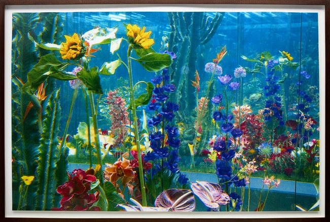 Marc Quinn, British, b.1964- Winter Garden, 2000; photographic pigment print, signed and...