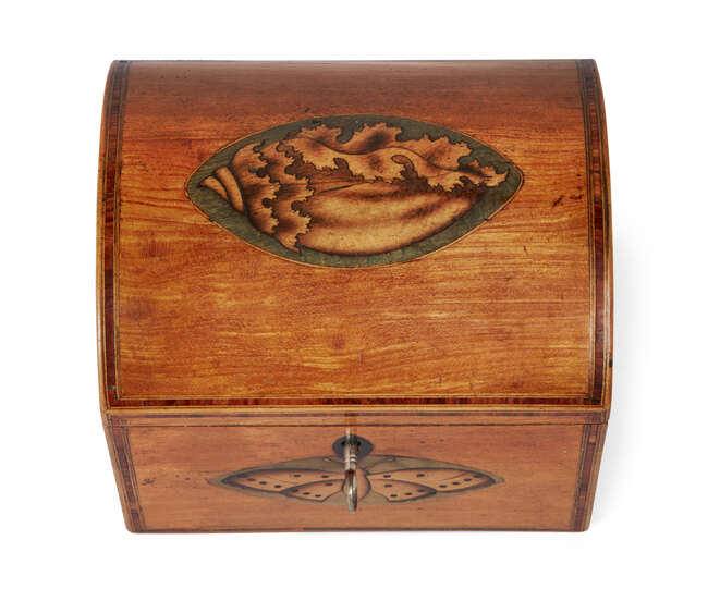 
	
		A Regency inlaid satinwood dome-top tea caddy, inlaid with butterfly and shell motifs,...