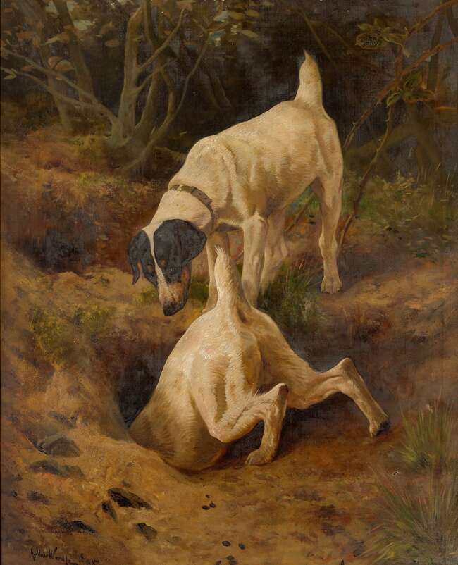 
	
		Arthur Wardle, RI, 
		 
		British 1864 1949- 
		 
		Two Jack Russell terriers...