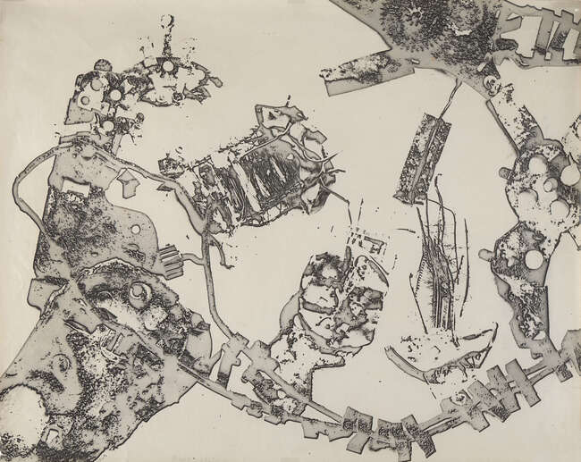 
	
		Nigel Henderson, 
		British 1917-1985- 
		
		Plant Tantrums & Plant Delta, c. 1958; 
		