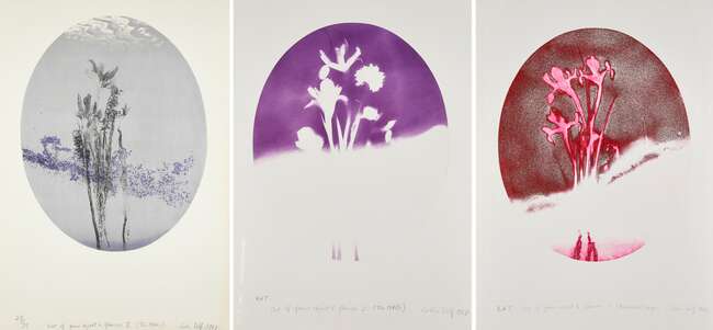 
	
		Colin Self, 
		British b.1941-
		
		Out of Focus Object and Flowers No 2 (The 1940s);...