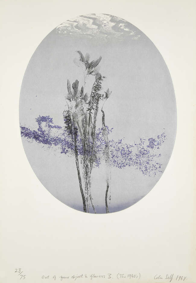 
	
		Colin Self, 
		British b.1941-
		
		Out of Focus Object and Flowers No 2 (The 1940s);...