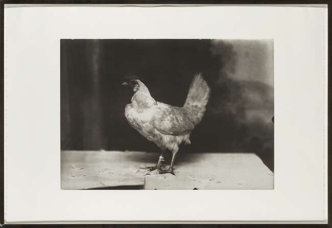
	
		Marlo Pascual, 
		
		American 1972-2020- 
		 
		Untitled, 2009; 
		 
		digital...