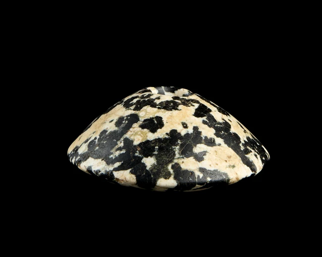 An Egyptian Predynastic diorite macehead with slightly convex disc-shaped surface, circa 4th...