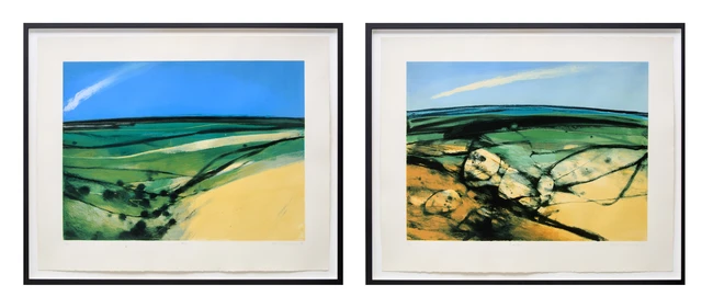 Neil Canning, British b.1960- Moor; Branch, 1995; two screenprints in colours on wove, both...