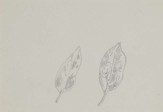 
	
		René Magritte, 
		Belgian 1898-1967- 
		 
		Deux Feuilles & Poission, circa 1945 ;...