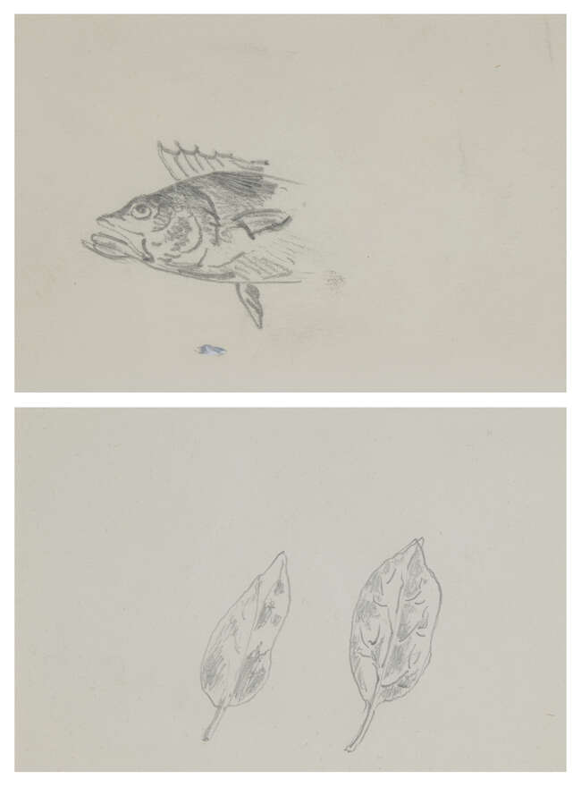 
	
		René Magritte, 
		Belgian 1898-1967- 
		 
		Deux Feuilles & Poission, circa 1945 ;...