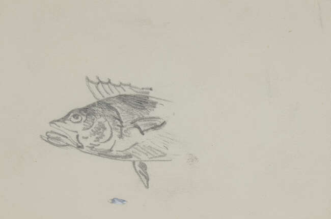 
	
		René Magritte, 
		Belgian 1898-1967- 
		 
		Deux Feuilles & Poission, circa 1945 ;...