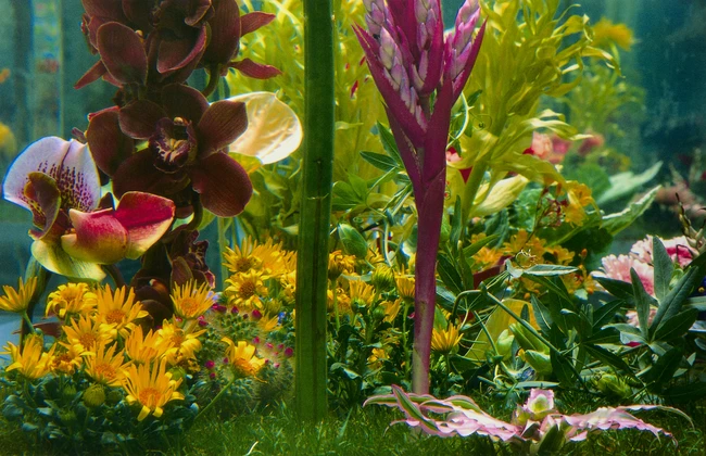 Marc Quinn, British, b.1964- Garden II, 2000; A set of six photographic prints on wove, signed...