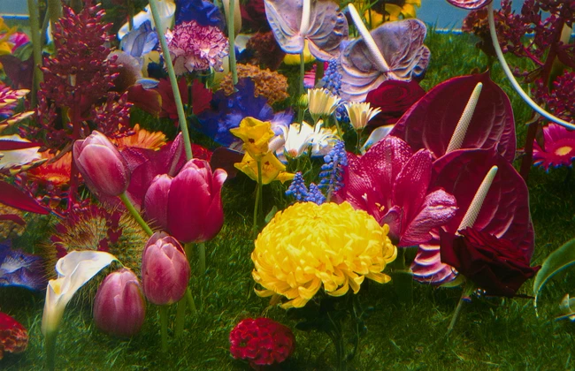 Marc Quinn, British, b.1964- Garden II, 2000; A set of six photographic prints on wove, signed...